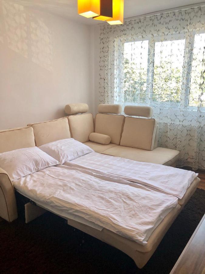 Little Cute Homey Apartman Satu Mare Bagian luar foto