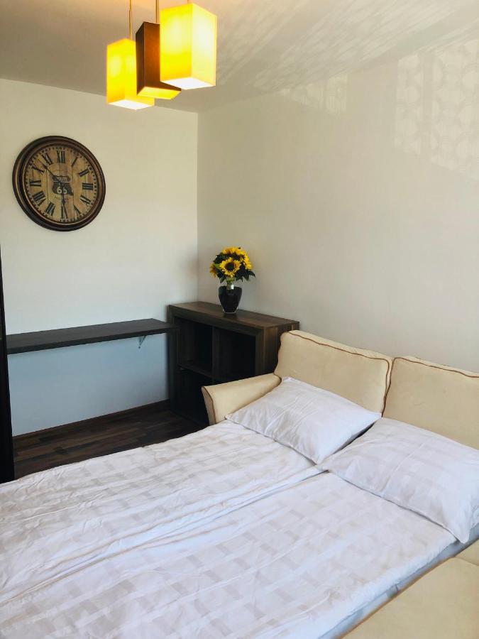 Little Cute Homey Apartman Satu Mare Bagian luar foto